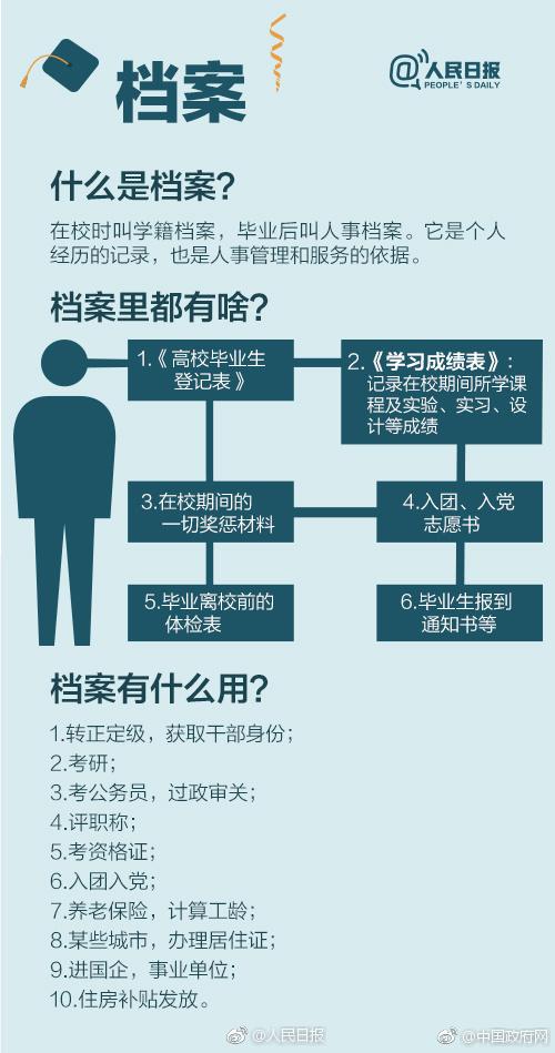 新奥免费精准资料大全,新奥免费精准资料大全，深度解析与实用指南