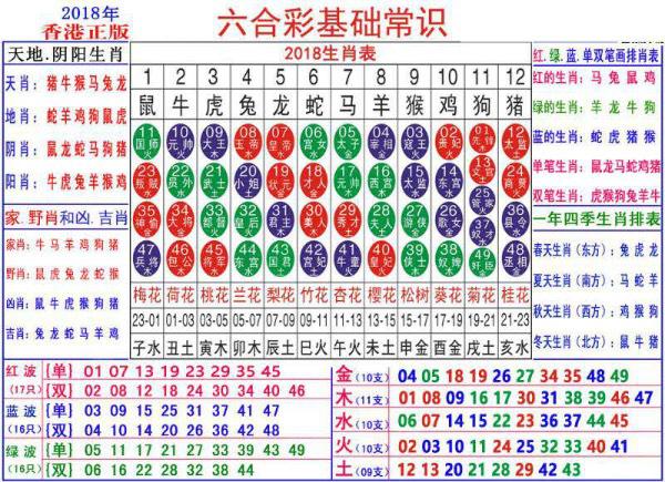 2024澳门正版资料大全资料生肖卡,澳门正版资料大全资料生肖卡的深度解析与探索（2024版）