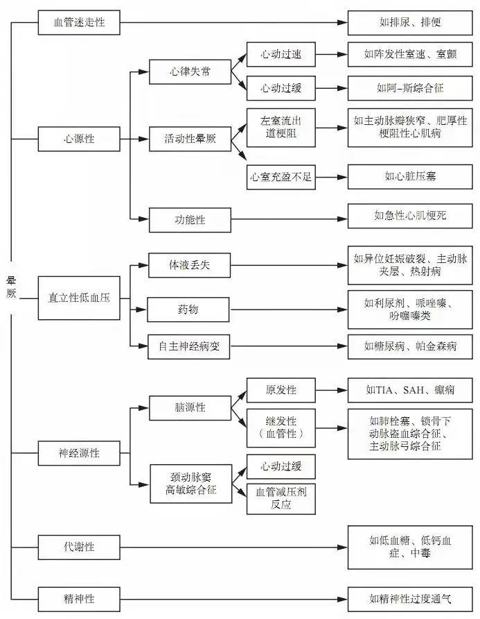 7777788888王中王中特,探索数字背后的秘密，王中王中特与数字7777788888的传奇故事