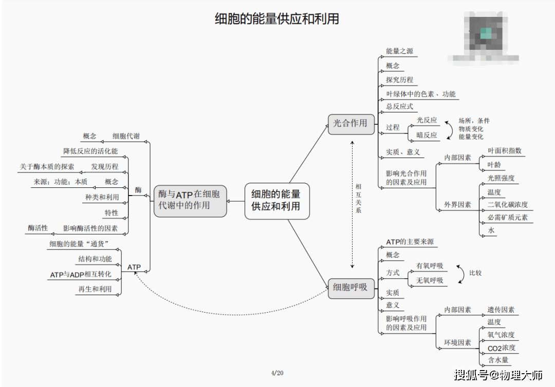 白小姐三肖三期必出一期开奖虎年,白小姐三肖三期必出一期开奖——虎年的神秘预言与期待