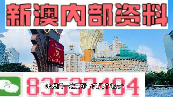 2024新澳门正版免费资木车,探索新澳门正版免费资讯木车的未来之路（2024展望）