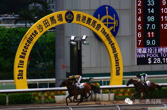 香港最准马会资料免费,香港最准马会资料免费，探索赛马世界的秘密